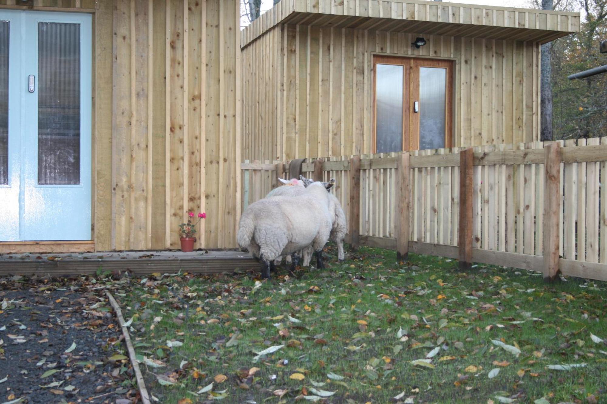 Hotel BCC Lochness Glamping Bearnock Exterior foto