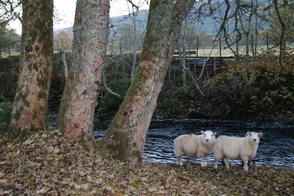 Hotel BCC Lochness Glamping Bearnock Exterior foto