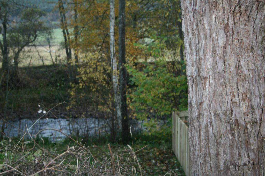 Hotel BCC Lochness Glamping Bearnock Zimmer foto