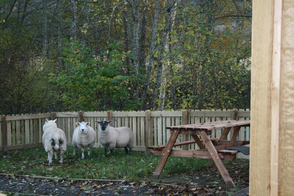 Hotel BCC Lochness Glamping Bearnock Zimmer foto