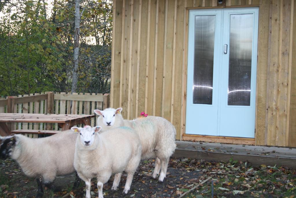 Hotel BCC Lochness Glamping Bearnock Zimmer foto