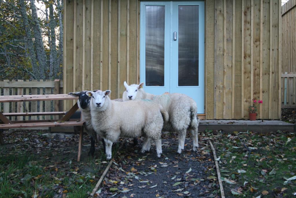 Hotel BCC Lochness Glamping Bearnock Zimmer foto