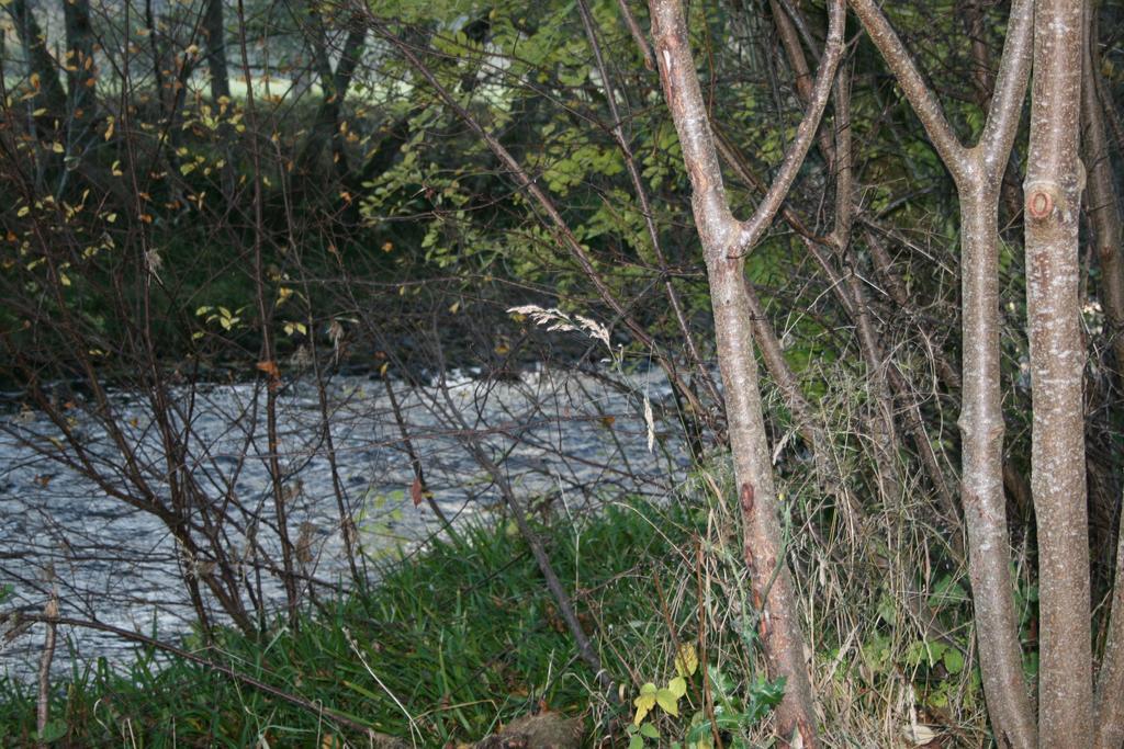 Hotel BCC Lochness Glamping Bearnock Zimmer foto
